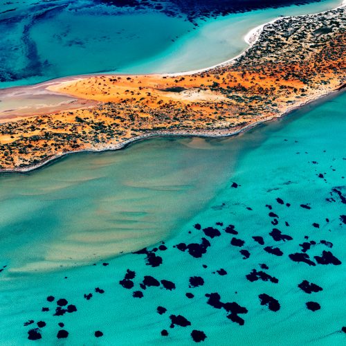 Shark Bay Aerial 3