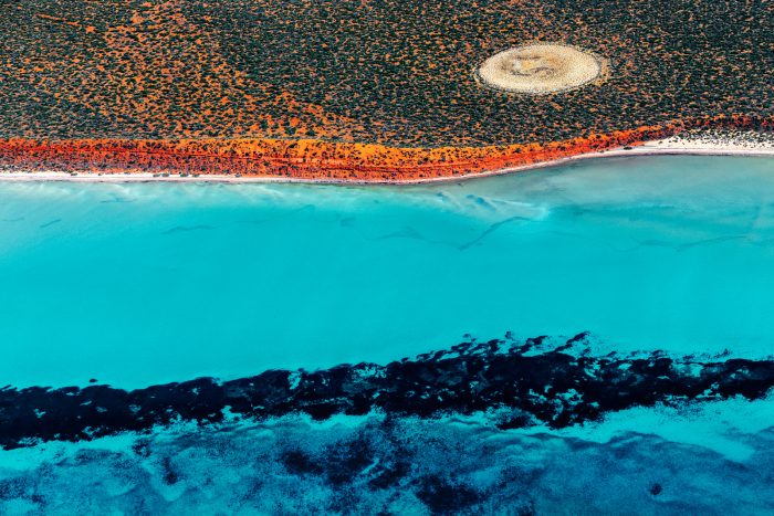 Shark Bay Aerial 6